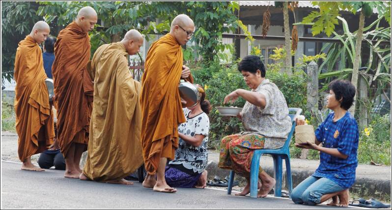 0232dwat-nong-pa-phong-standard.jpg