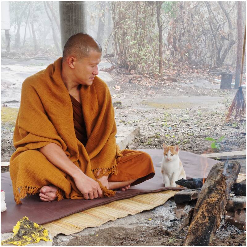 _1205sangkhom-pa-tak-sua-copie-standard.jpg