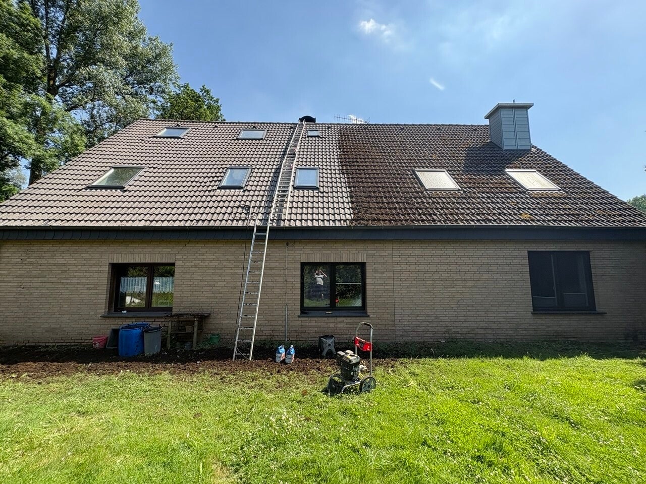 Professionelle Rasenpflege