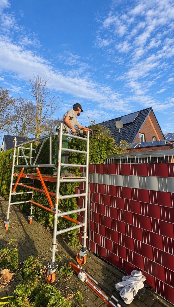 Professionelle Rasenpflege