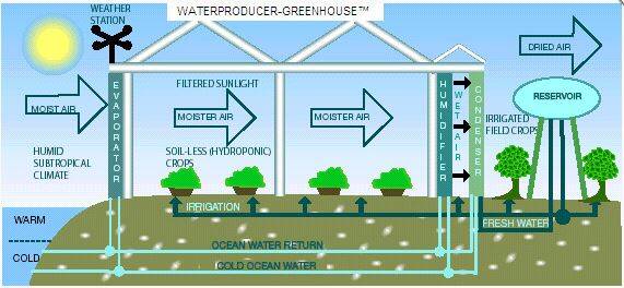 WaterProducer-Greenhouse™ concept. Graphic by Lorne Baird. © 2004 Batavia Greenhouse Builders Ltd.