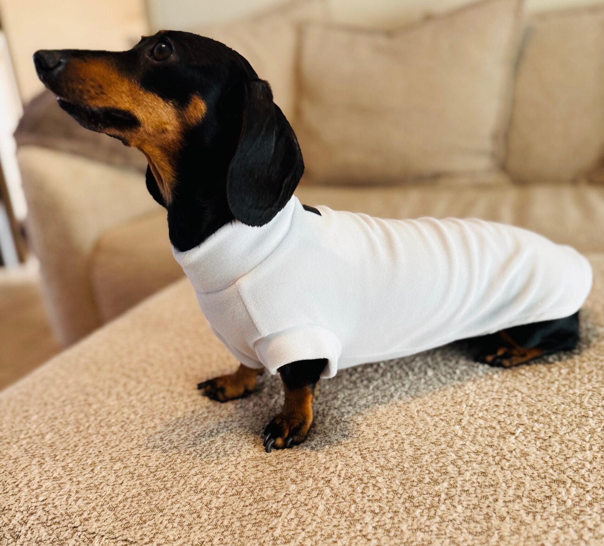 Fleecetrui voor teefjes