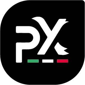 Phoenix-Competition Logo