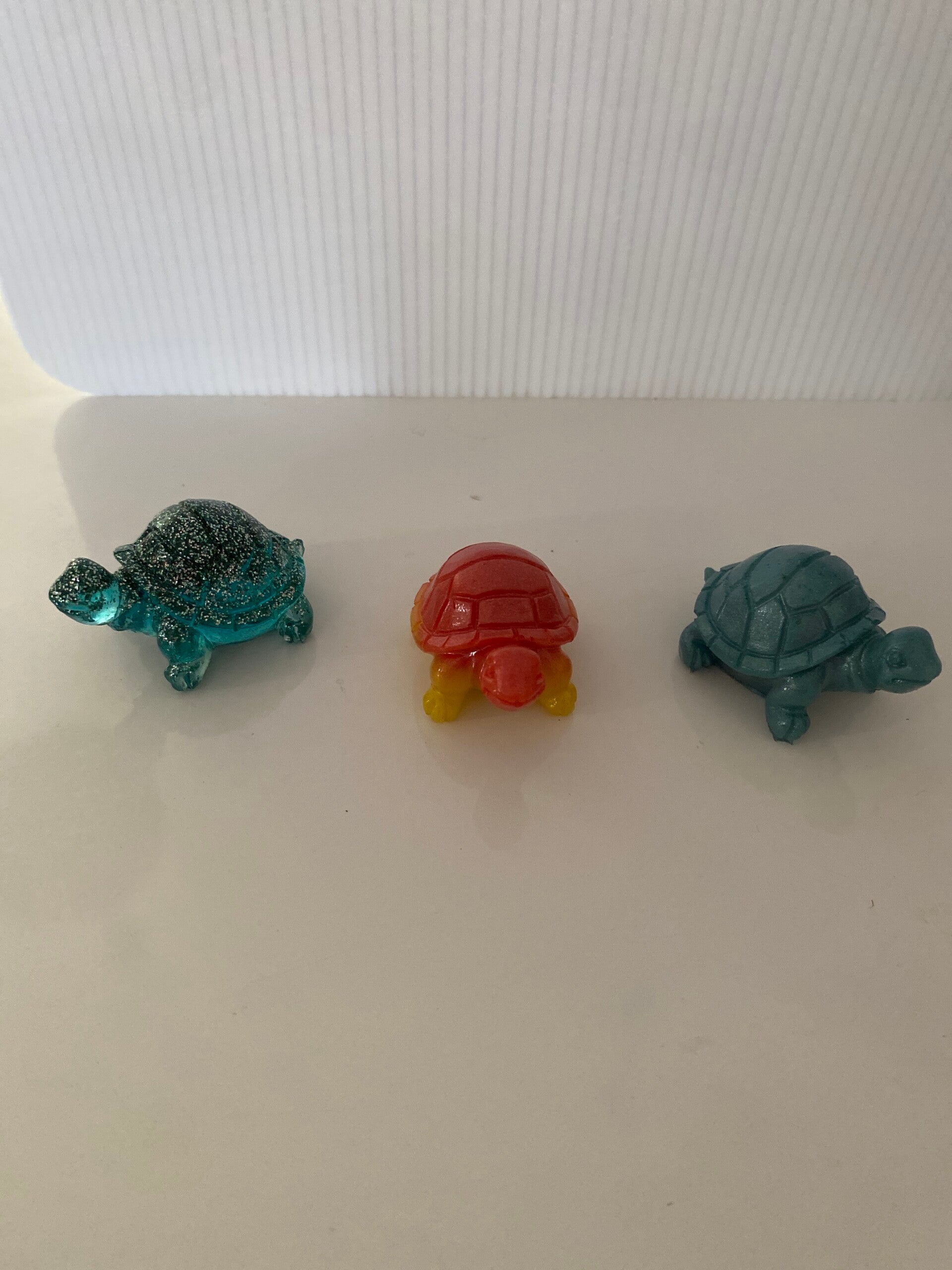 Bébé tortue