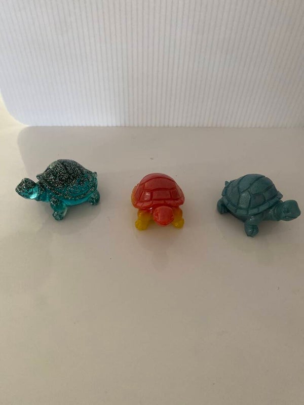 Bébé tortue