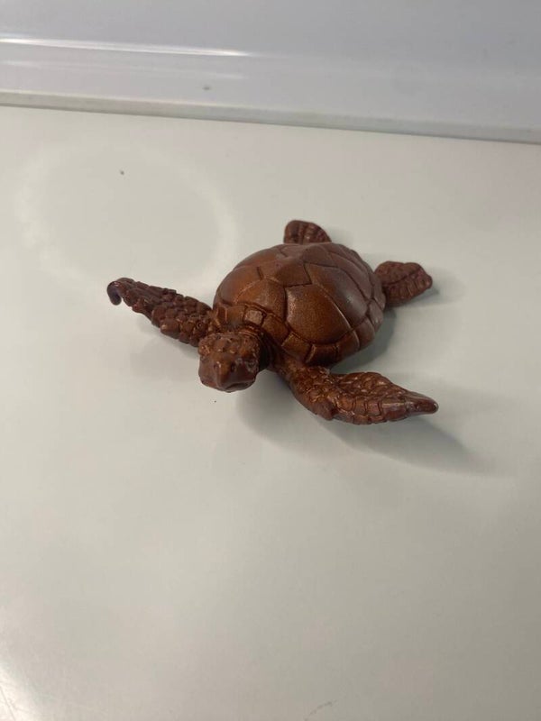 Petite Tortue décorative