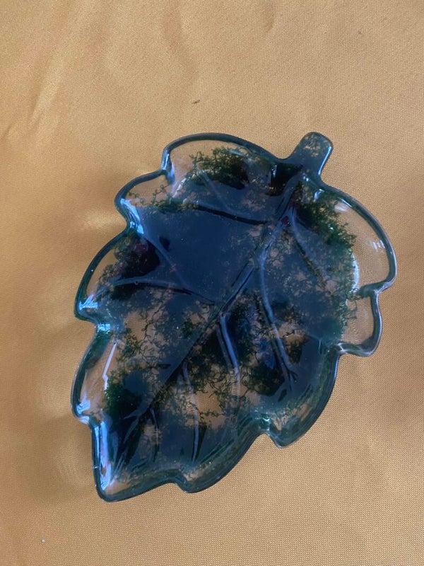 Vide poche feuille