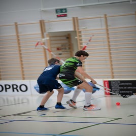 _dsc7691-standard.jpg