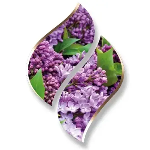 Scented Candle - Lilacs (seringen)