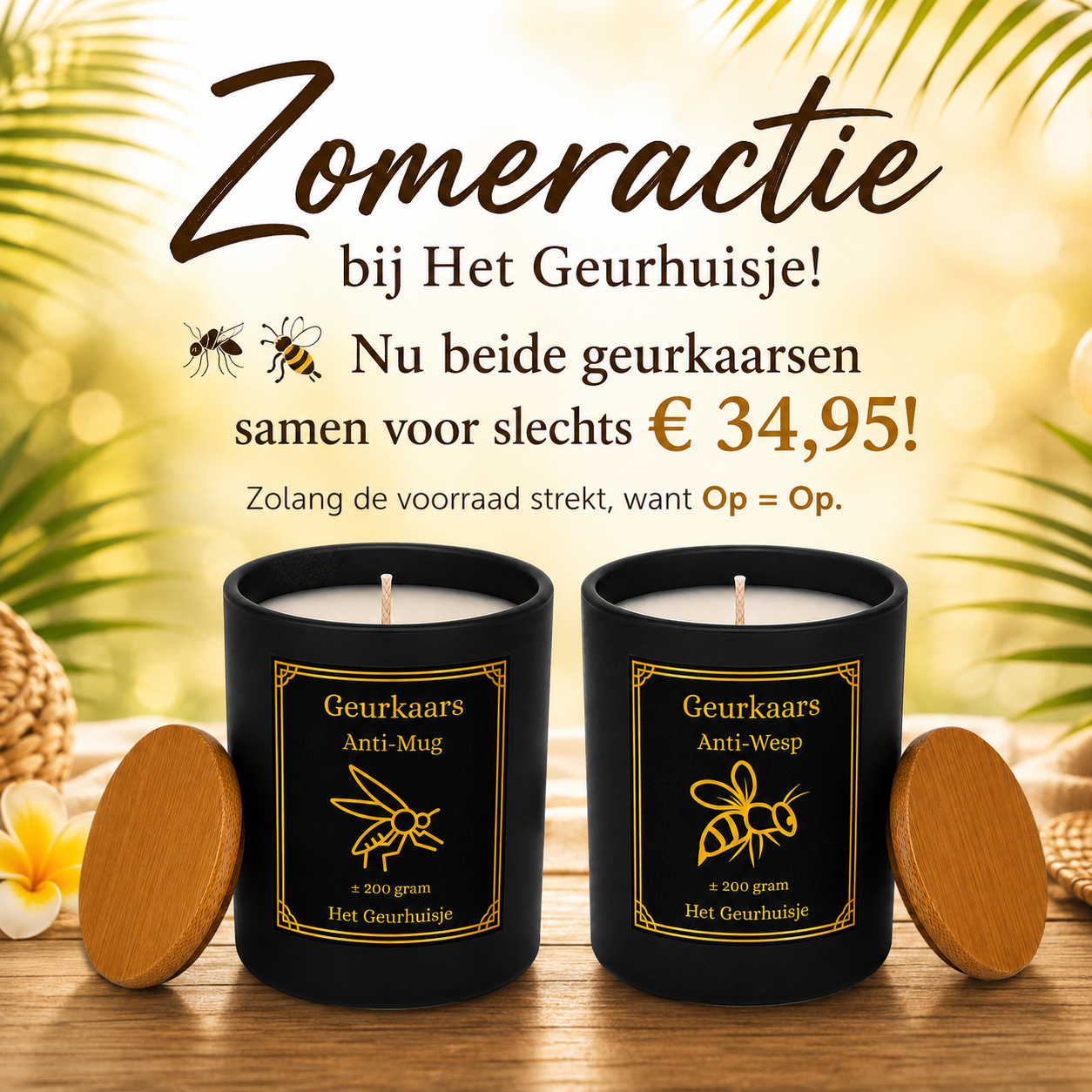 Zomeractie: Luxe Geurkaarsen Anti-Mug & Anti-Wesp