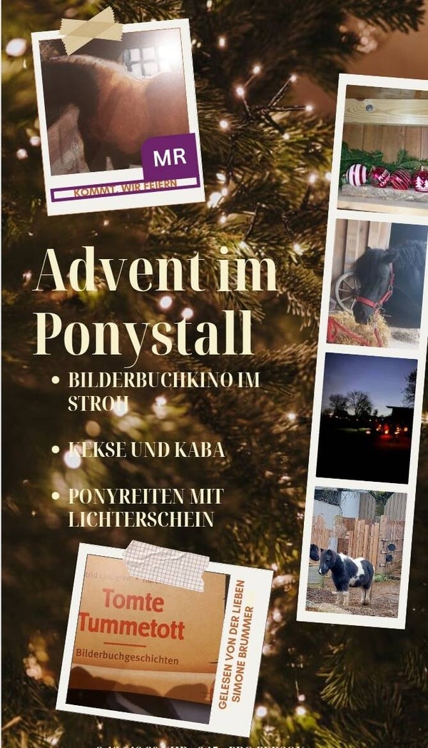 Advent im Ponystall
