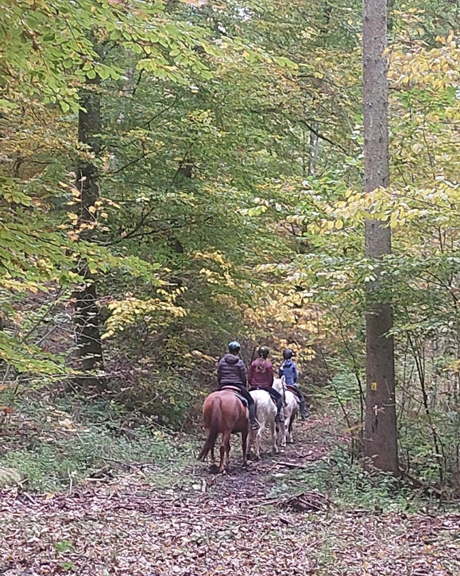 Geländekurs 25.-28.08.26