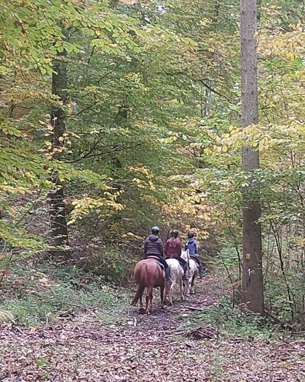 Geländekurs 25.-28.08.26