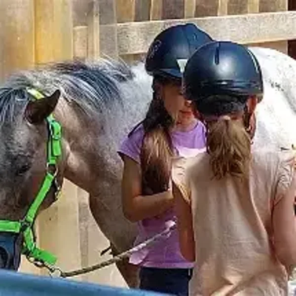 Ferien-Reitkurs