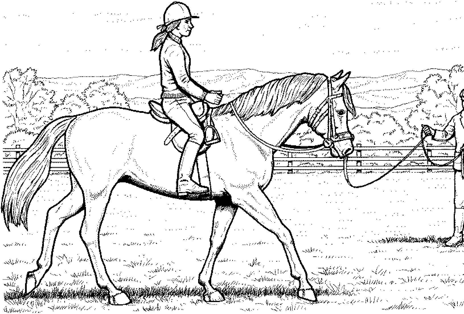 Longentag für Kinder / Jugendliche / Erwachsene