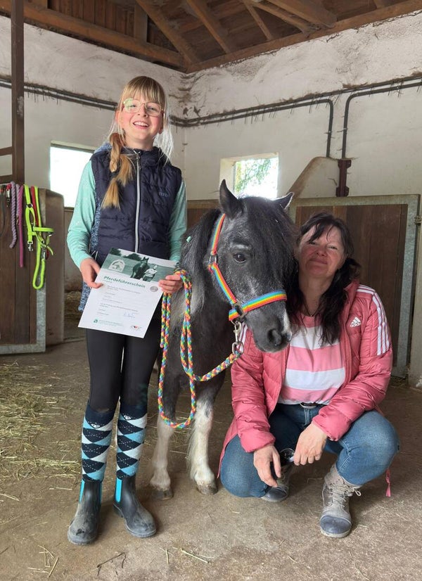 Pferdeführerschein Umgang für alle Altersklassen