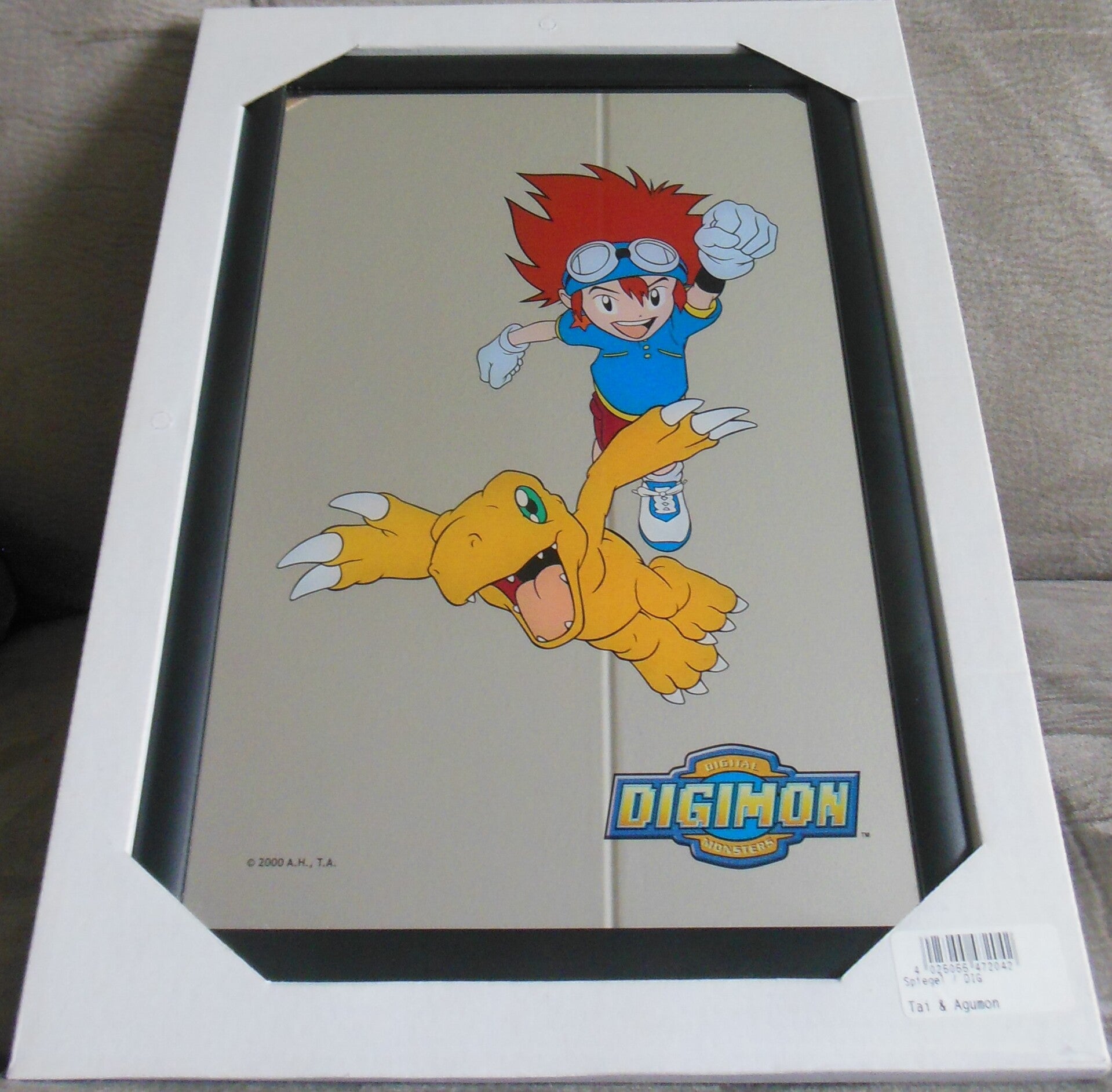 Digimon Tai & Agumon Mirror