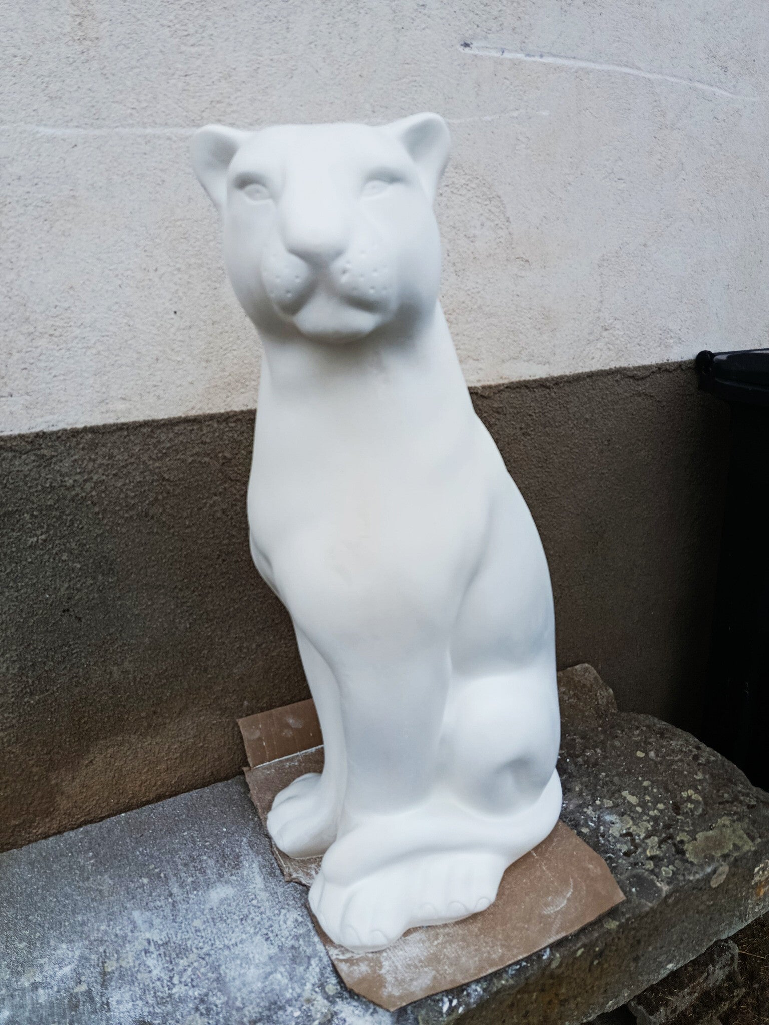Gamme Plâtre molda 3 dur fibré