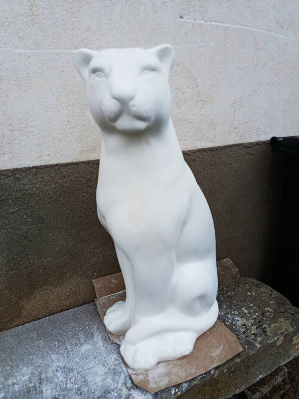 Gamme Plâtre molda 3 dur fibré