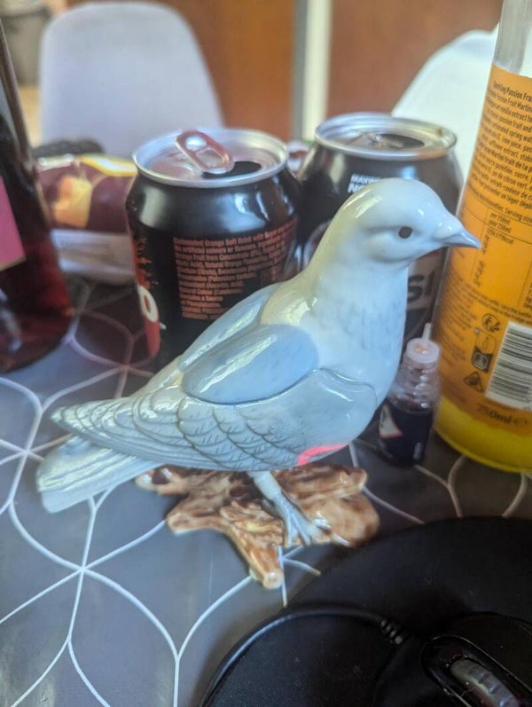 Porcelain Dove