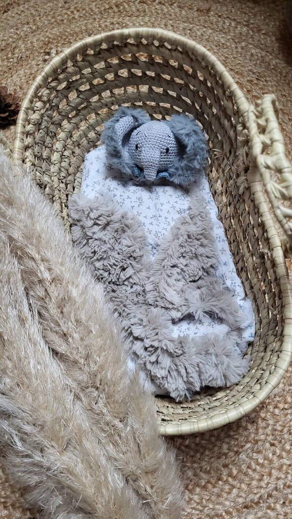Paolo, l'éléphant