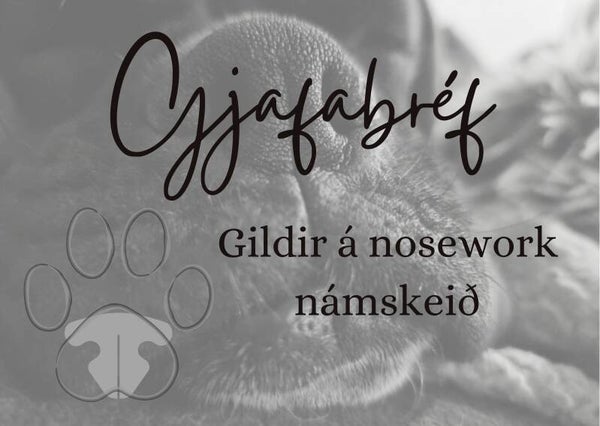 Nosework gjafabréf