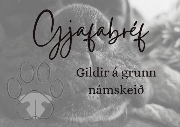 Gjafabréf á grunnnámskeið