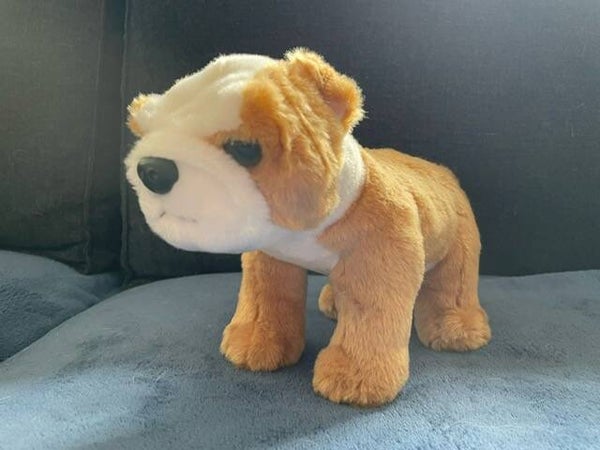 Knuffel Engelse bulldog