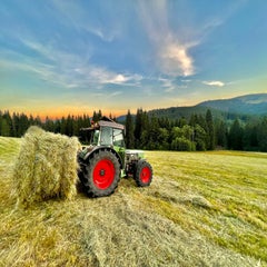 img_0955.jpg