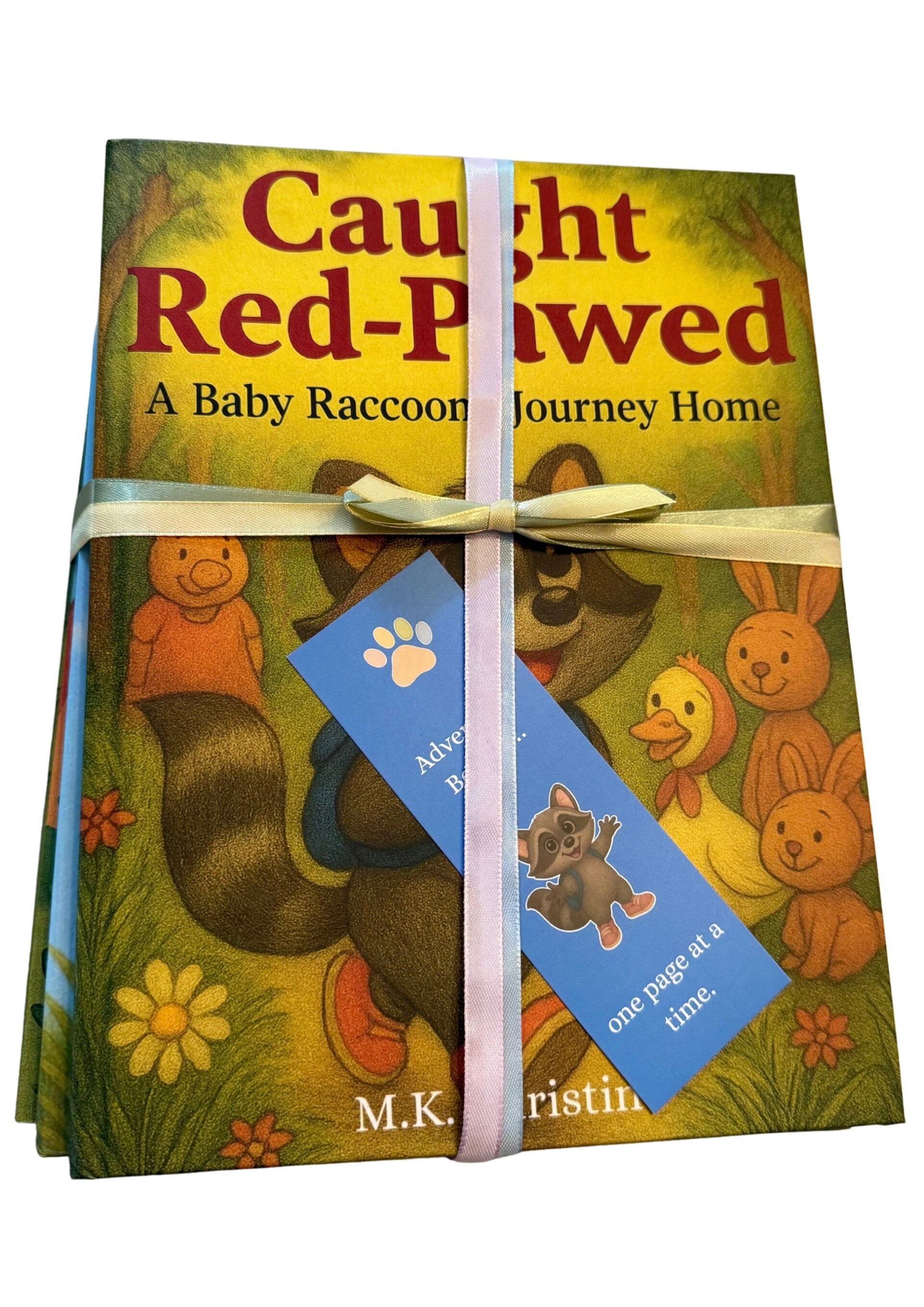 The Baby Raccoon Deluxe Gift Bundle