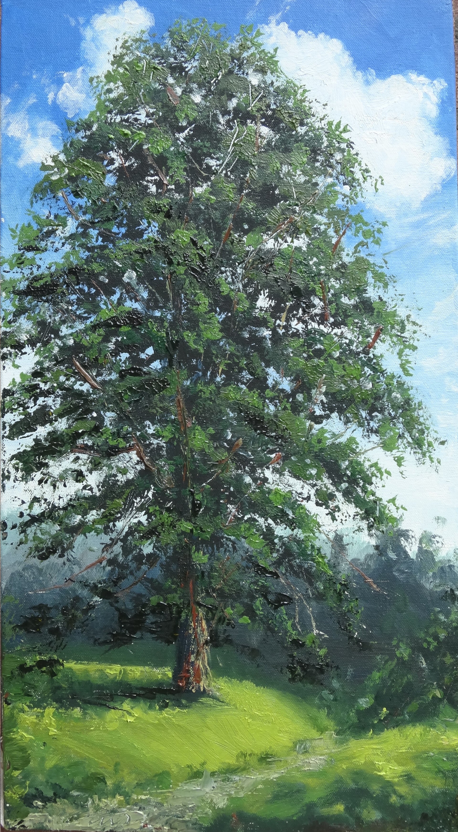 buurtboom2026-standard.jpg