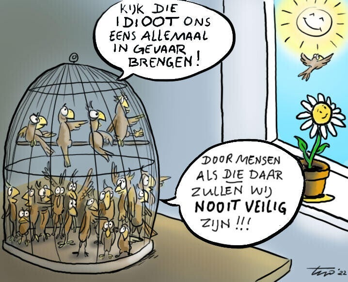 cartoonvrijevogel_629d4998aab0896a28c91962-standard.jpg