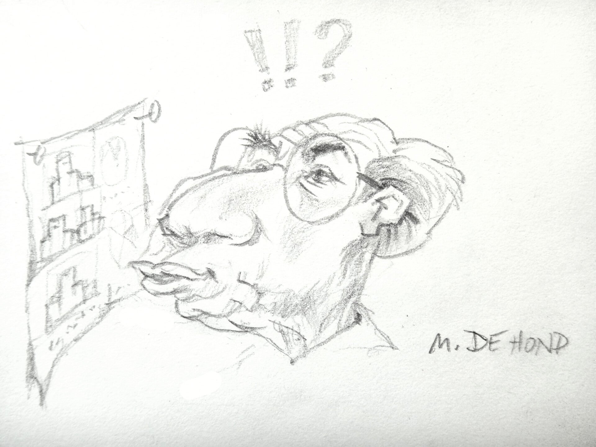 Maurice de Hond