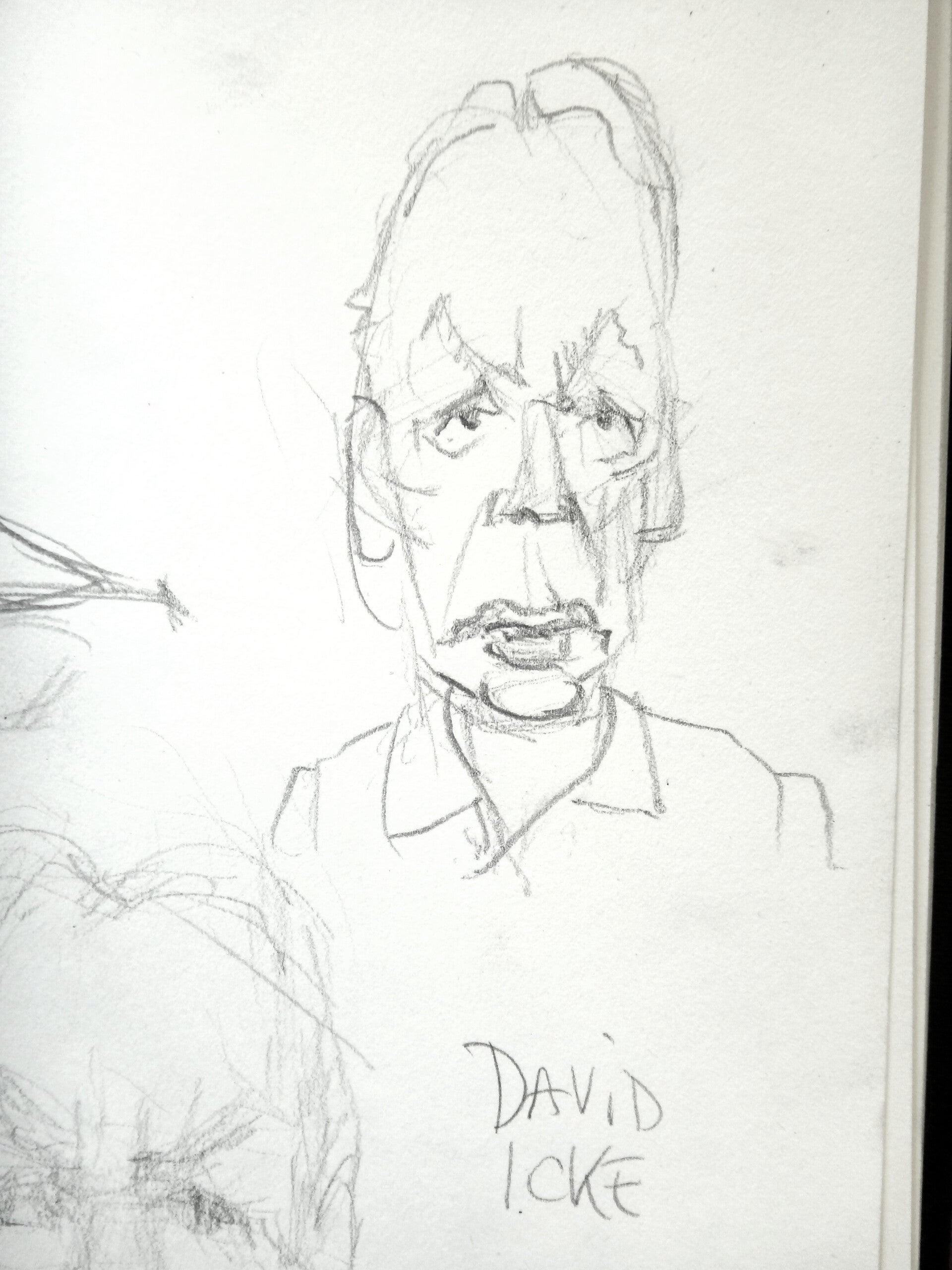 David Icke