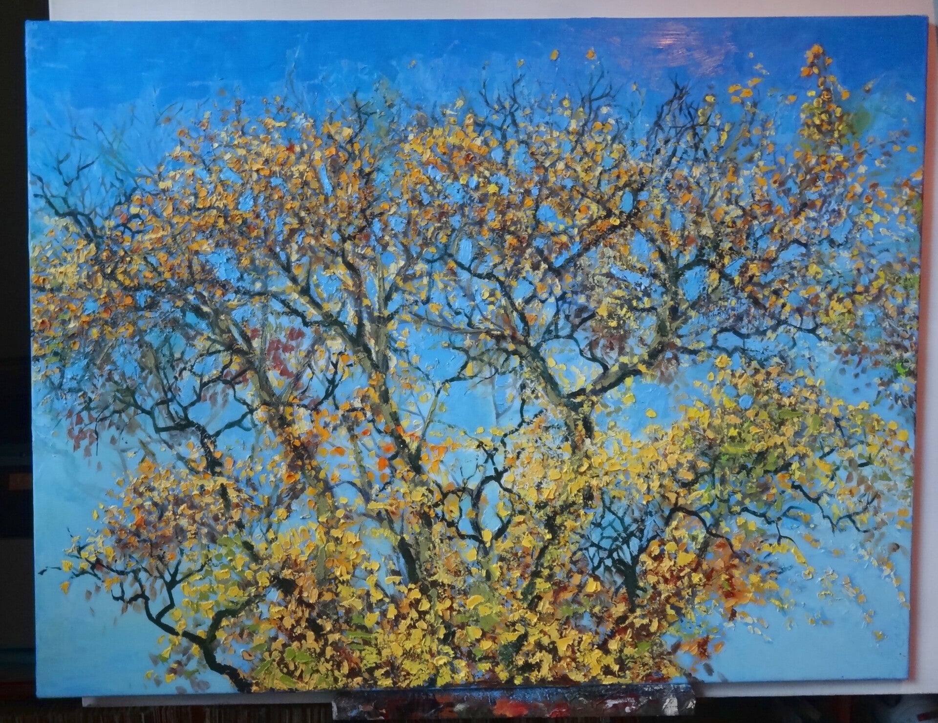 dsc06561-standard.jpg