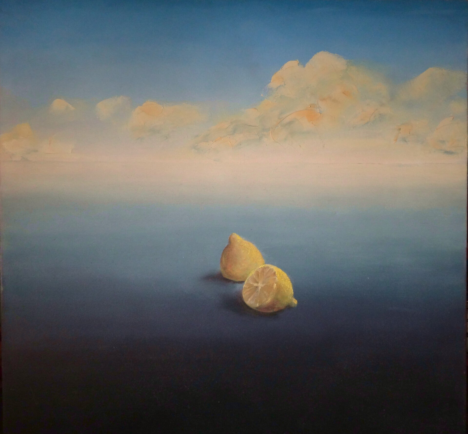 Gehalveerde Citroen in staat van Eenzaamheid (100x100 cm olieverf op doek)
