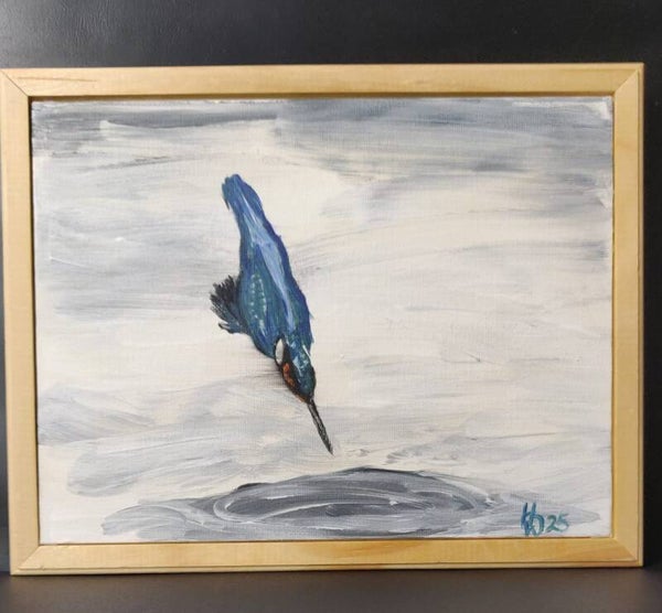 Eisvogel im Winter