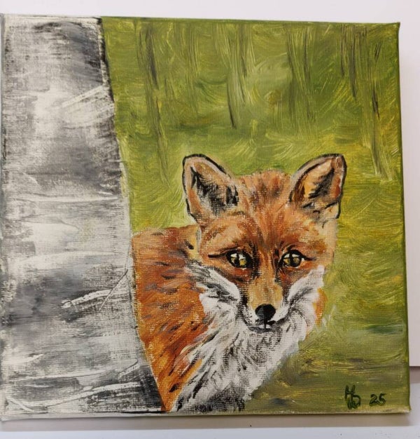 Fuchs im Birkenwald