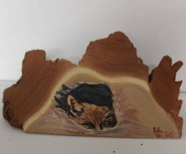 Fuchsjunges im Bau