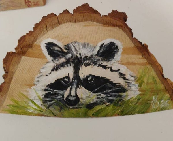Waschbär