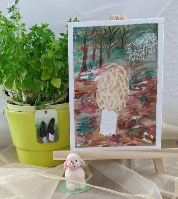 Böhmische Verpel 2
