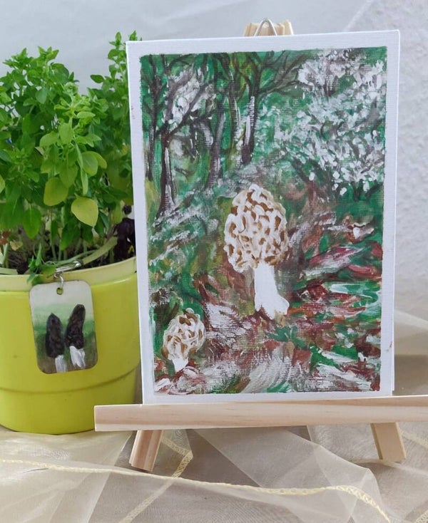 Böhmische Verpel 3