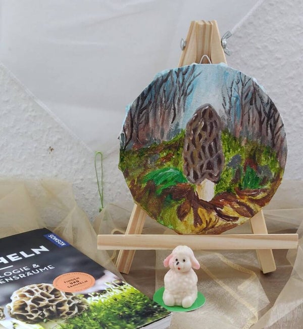 Kleine Morchel im Wald