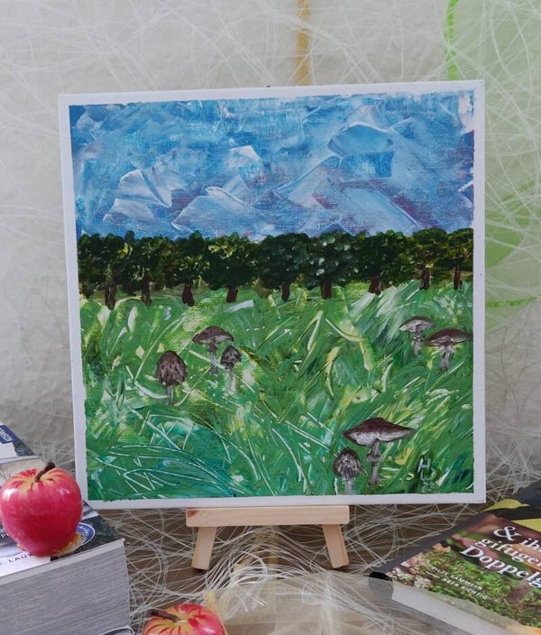 Parasol-Wiese 2