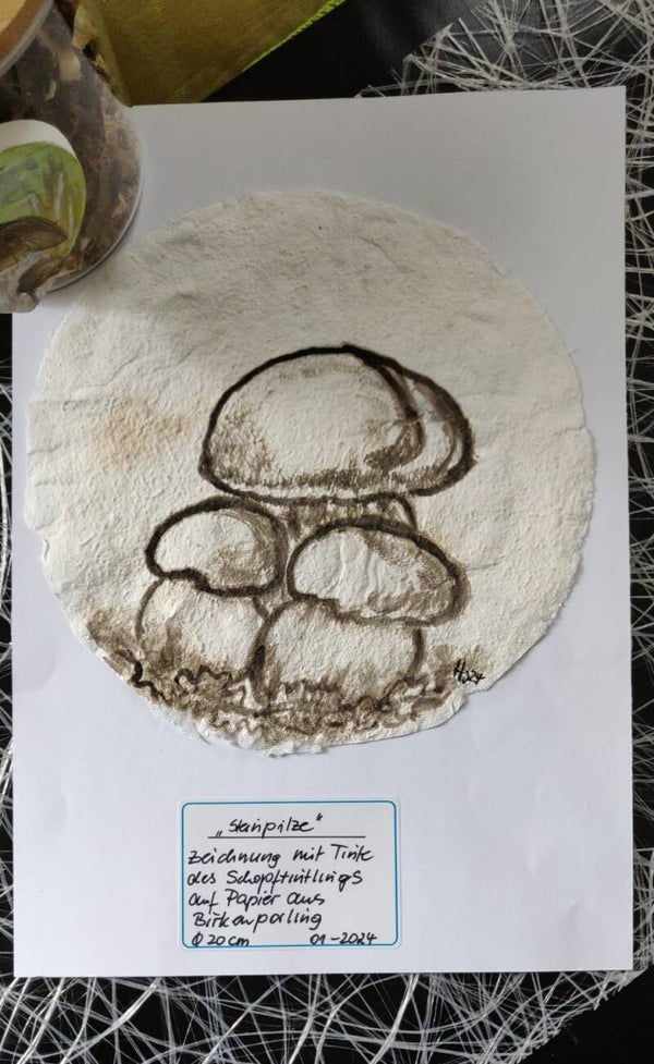 3 Steinpilze auf Pilzpapier