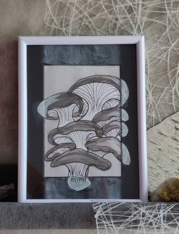 Austernseitlinge Passepartout 13x18