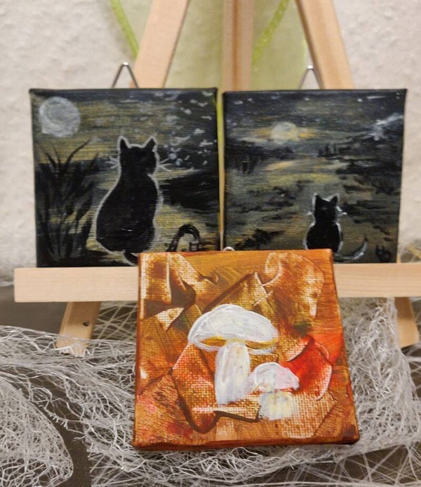 Katzen und Pilze