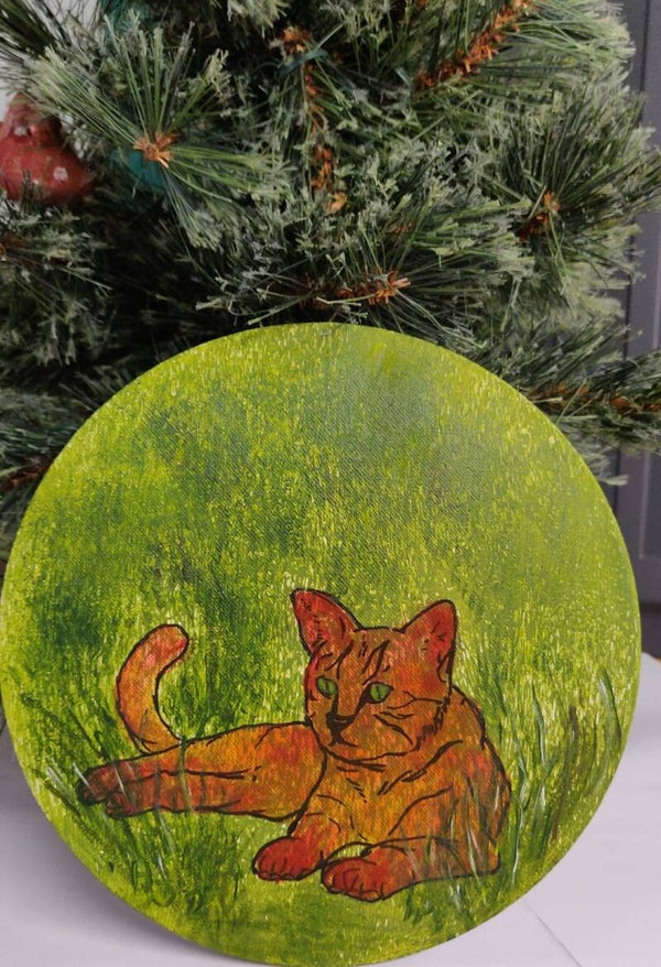 Katzen - Rote Katze im Gras