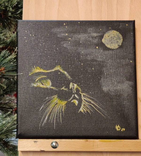 Katzen - Die Mondanbeterin