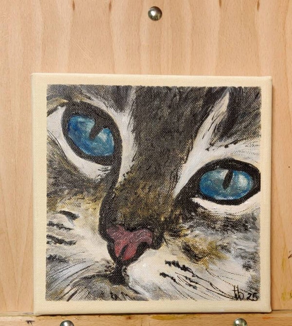 Katzen - Die Sanfte